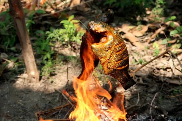 whole fish roast in open fire