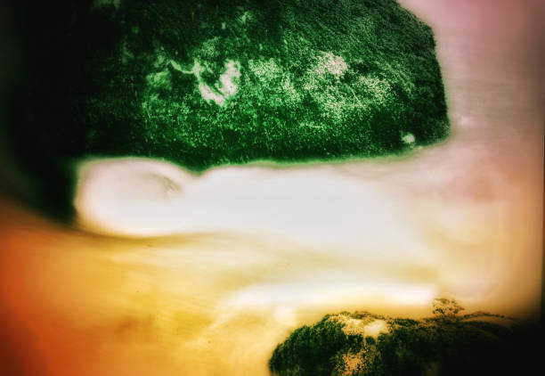 dreamlike mystical fantasy landscape - psychedelic filtered image