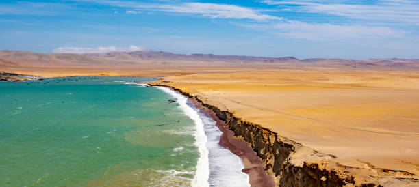 istock Paracas National Reserve 1067295098