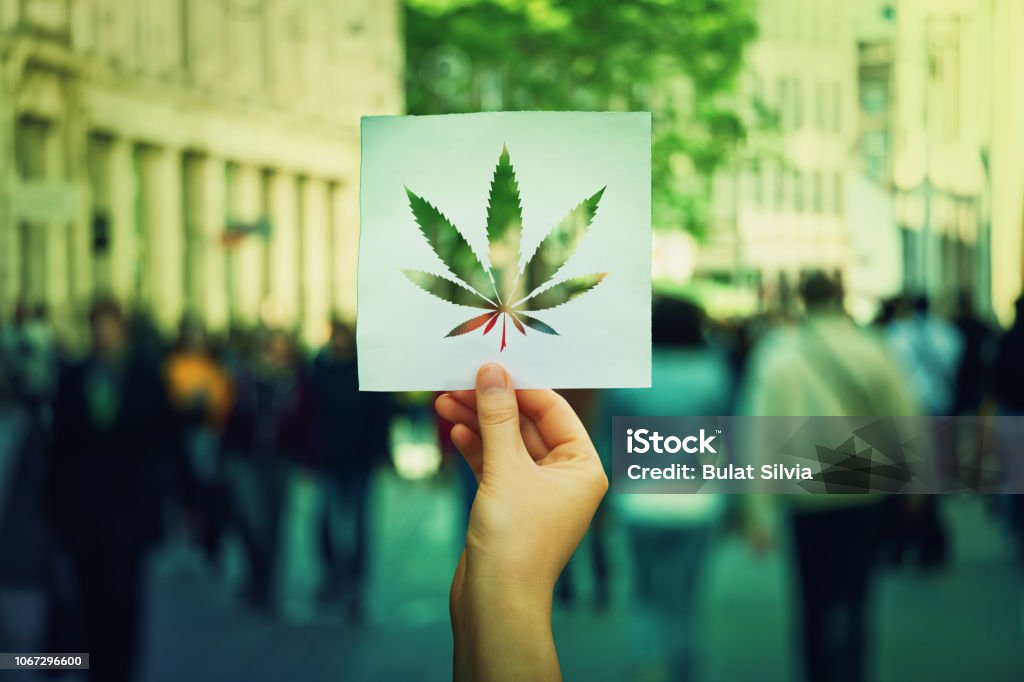 Cannabis legalization Hand holding a paper sheet with marijuana leaf symbol over a crowded street background. Cannabis legalization as medical drug. CBD healing social issue concept. Marijuana - Herbal Cannabis Stock Photo