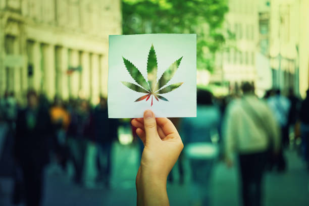Cannabis legalization Hand holding a paper sheet with marijuana leaf symbol over a crowded street background. Cannabis legalization as medical drug. CBD healing social issue concept. dependency photos stock pictures, royalty-free photos & images