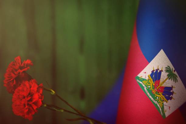 bandera de haití para honor del día de los veteranos o día de los caídos con dos flores de clavel rojo. gloria a los héroes de haití del concepto de guerra de madera natural borrosa verde de la pared. fondo. - republic of haiti fotografías e imágenes de stock