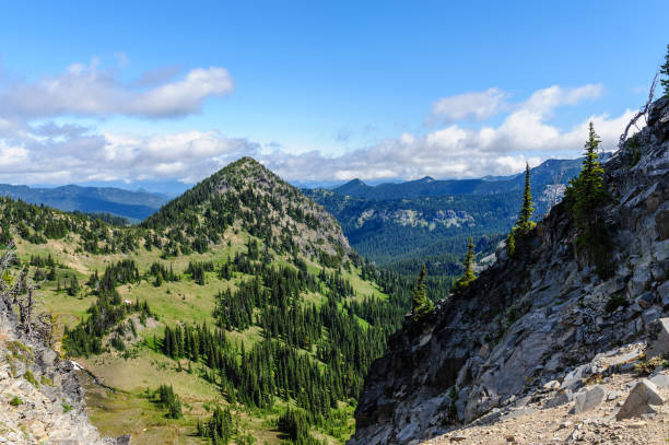 istock The Slopes of Mount Raineer 1067303006