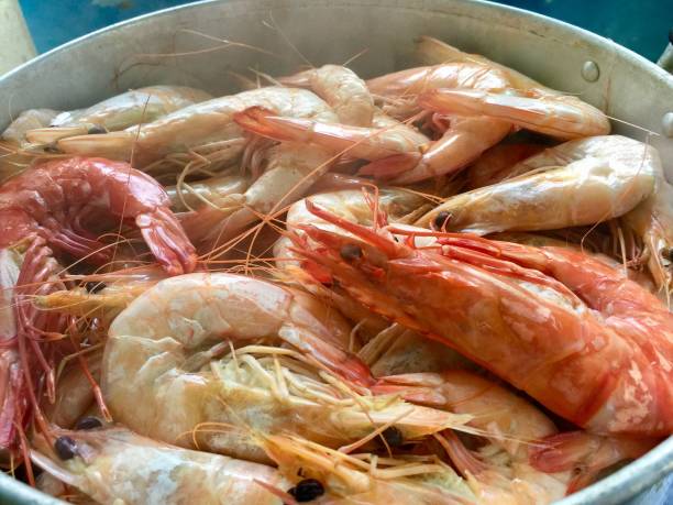 istock Steam shrimps or King prawns 1067303060