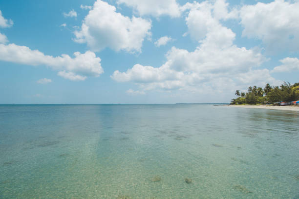 istock Clear Sea Water, White Sand, Cloudy Blue Sky and Beautiful Tropical Beach 1067303552