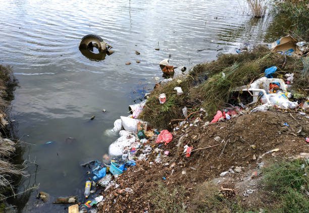 lake shore is littered with garbage - toxic substance spilling pouring bottle imagens e fotografias de stock