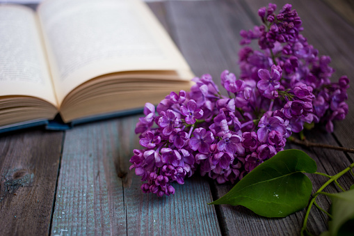 branch of lilac and opened book on a wooden table