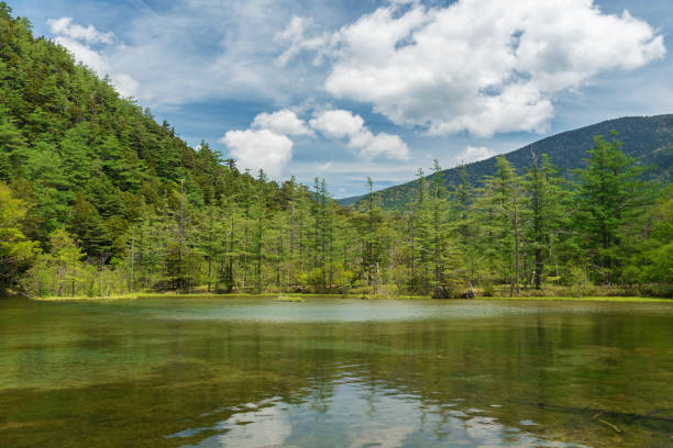 istock Idyllic landscape of Japan 1067310366
