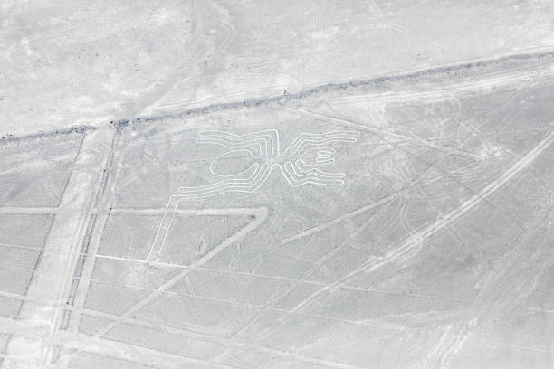 istock Nazca lines from the aircraft 1067317944