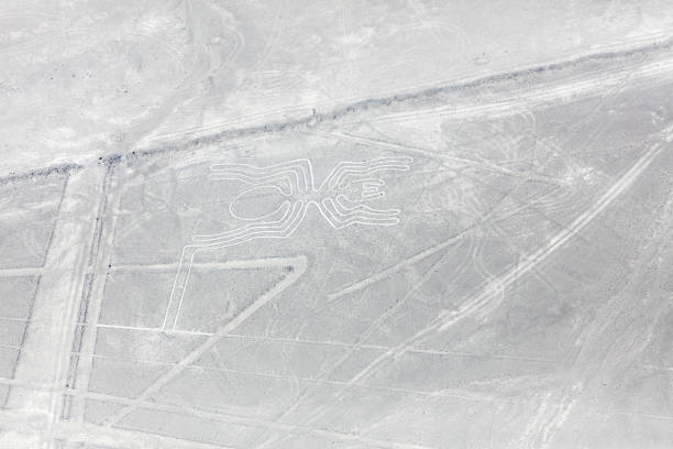 istock Nazca lines from the aircraft 1067317972
