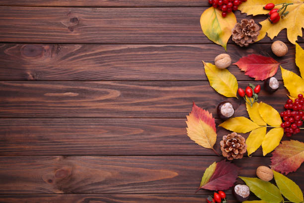 istock Autumn leaves with berries on a brown background 1067325000