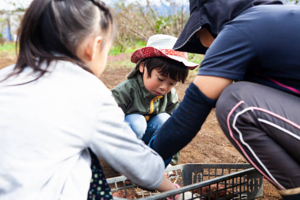 istock Agricultural experience with farm worker 1067327522