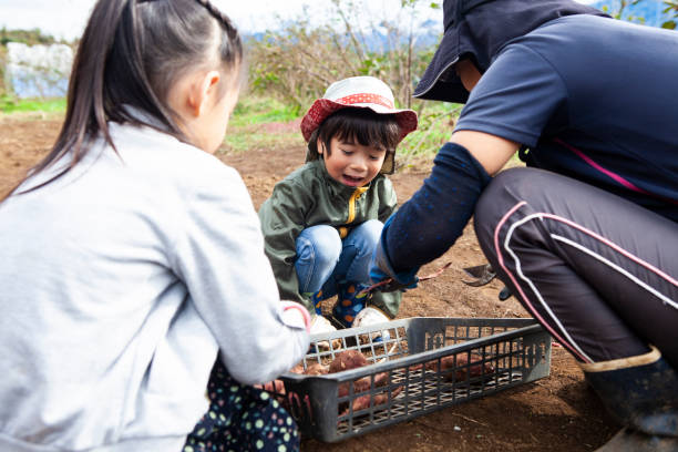 istock Agricultural experience with farm worker 1067327542