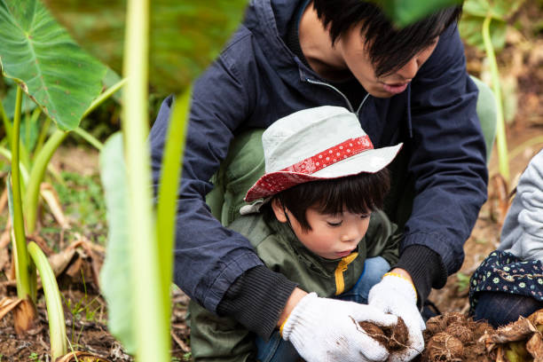 istock Father and children digging crops 1067327914