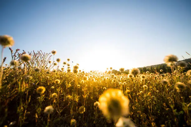 Photo of landscapes in the spring