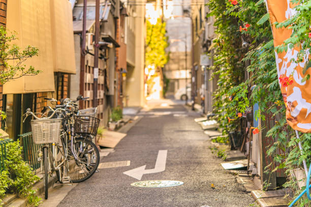 東京都 - 8 月 18 日、2018:walls は葉と山手線神田駅に隣接する小さな路地でノウゼンカズラ科花ホーン トランペットつるで覆われています。通りは 300 メートル以上、100 ショップです。 - ショッピングエリア ストックフォトと画像