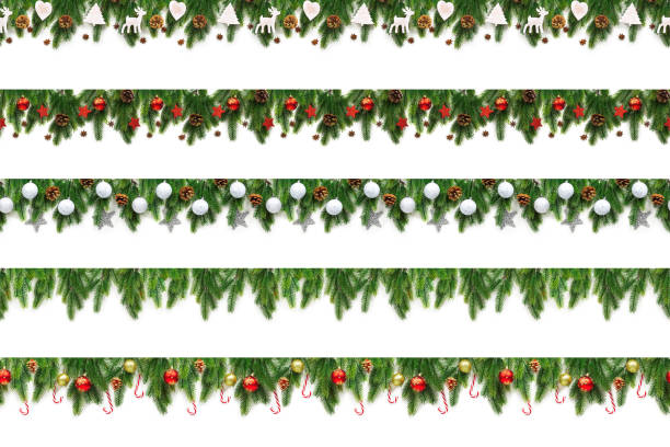 Set of Christmas tree branches on white background as a border or template for christmas card