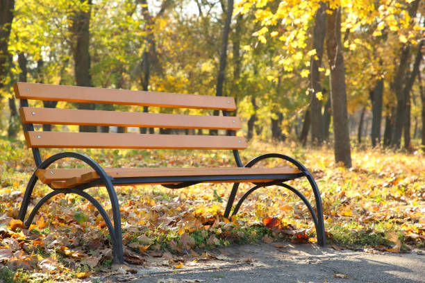istock Empty wooden bench in the autumnal park 1067334340