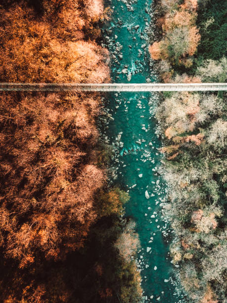 istock Aerial view of a suspension bridge over a creek and a forest 1067339708