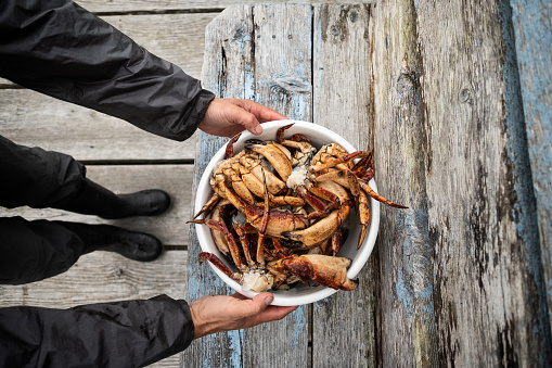 Sustainably caught crabs in rural Bamfield