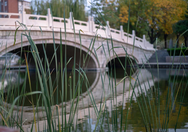 Chinese traditional garden: arch bridge and pond