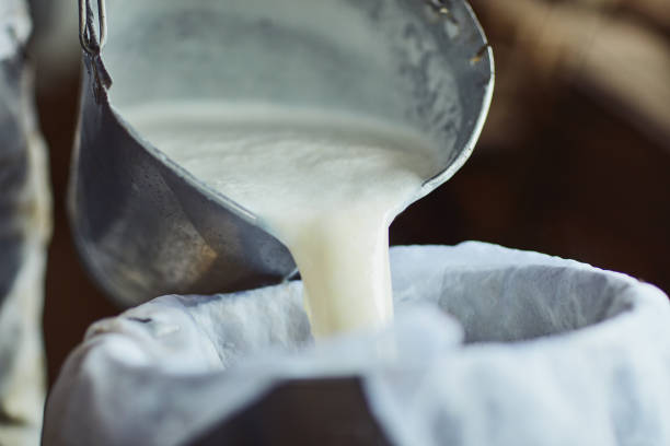 die schritte zur herstellung von käse - milchhof stock-fotos und bilder