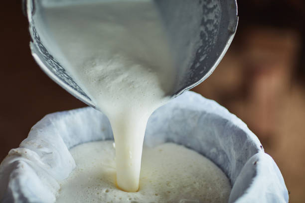 istock All in a day on the dairy farm 1067347166