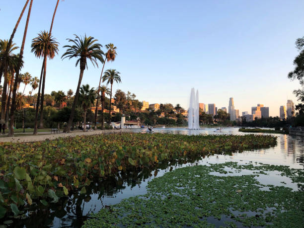 istock Los Angeles cityscape over downtown skyscrapers from Echo Park 1067348580