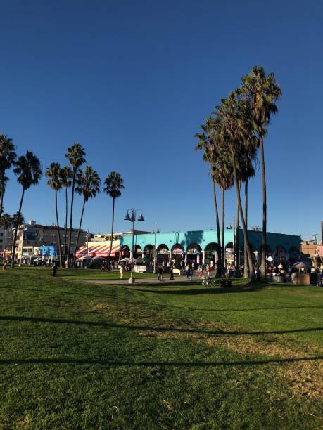 istock High palm trees in Los Angeles 1067348764
