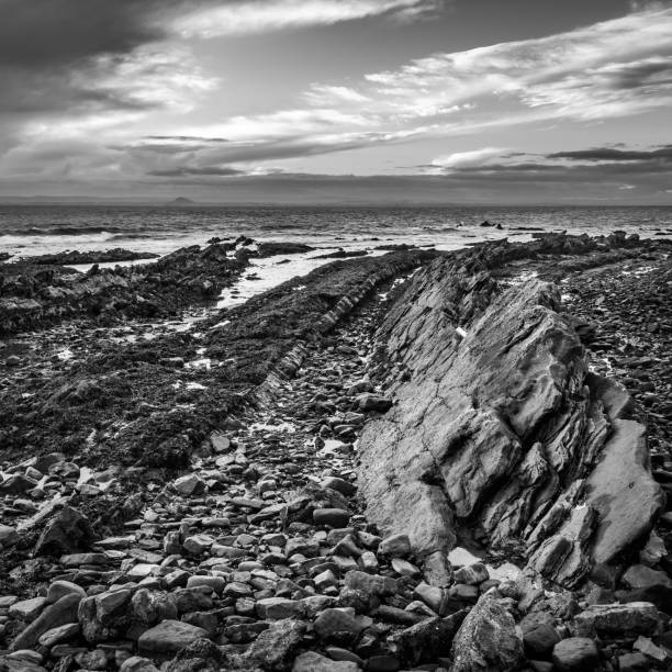Fault lines in the rocks The rocky beach at St Monans in Fife, Scotland where volcanic rock formations protrude through the surface syncline stock pictures, royalty-free photos & images