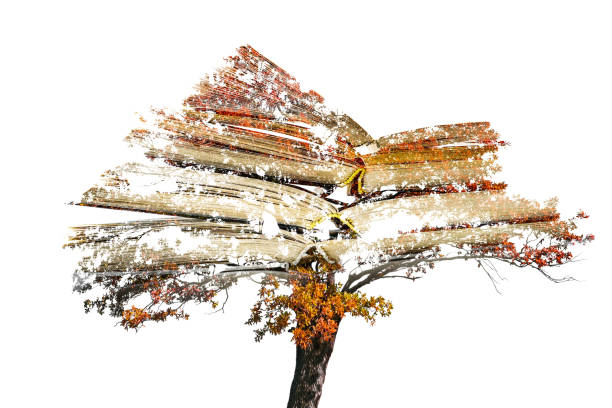 Double exposure of open books and tree. Isolated on white.