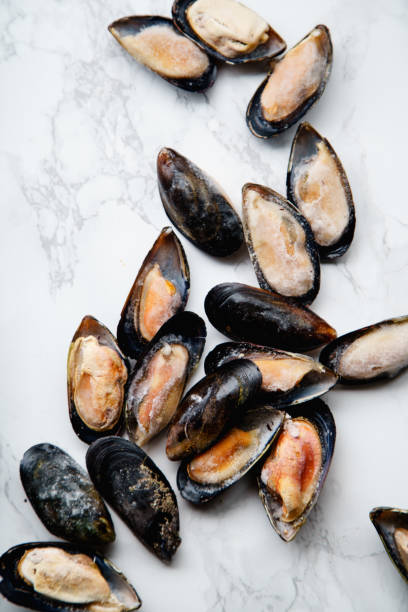 istock Top view with frozen mussels on white marble background 1067361346