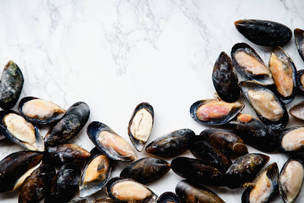 istock Top view with frozen mussels on white marble background layed in frame shape with a space for text 1067361350