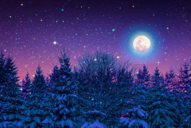 istock Winter landscape with snow covered fir trees and full moon. 1067364468