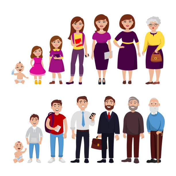 Cartoon Of Human Life Cycle Stock Photos, Pictures & Royalty-Free Images -  iStock