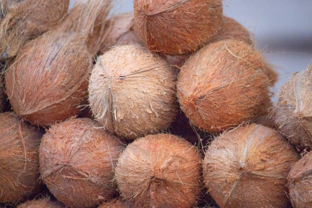 istock coconuts closeup shot for sale food nature 1067367194
