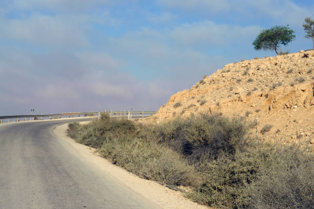 istock South road in stone desert. Israel 1067370642
