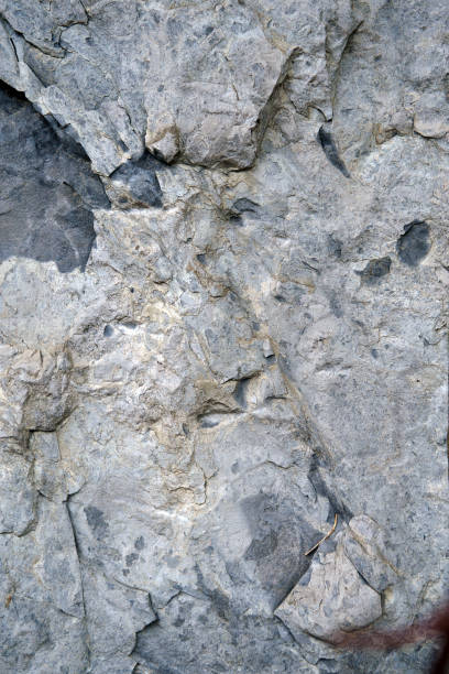 istock Cross section of rock 1067371404