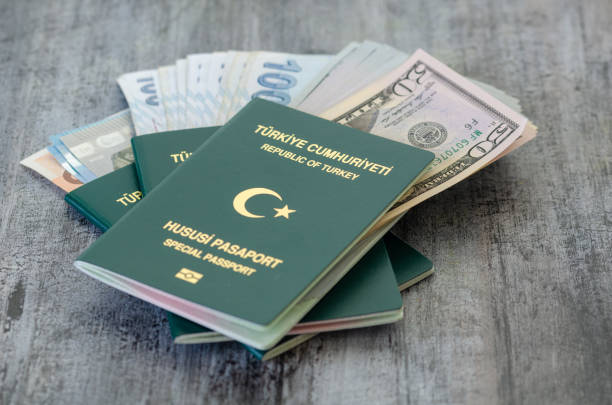 Turkish Special Passport and money banknotes.