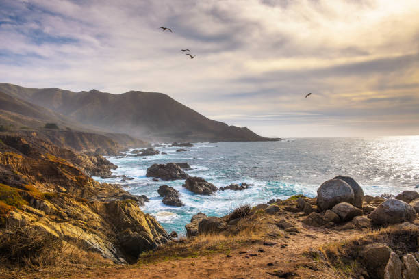 paisaje de la costa del pacífico - california coastline beach cliff fotografías e imágenes de stock