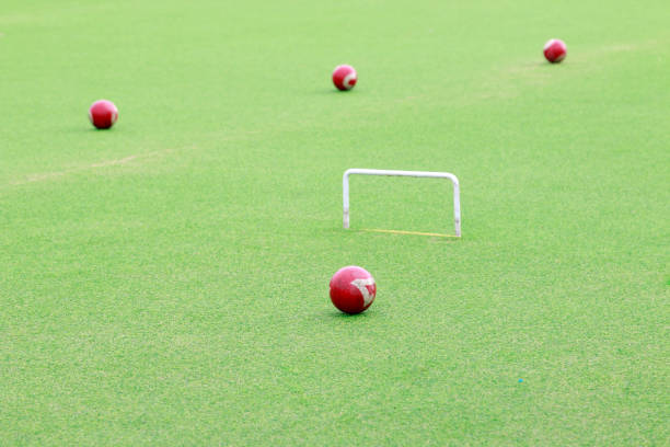 istock Chinese croquet box and Croquet 1067376884