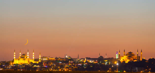 istock Istanbul city night panorama 1067391444