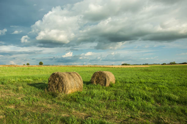 istock Circles of hay on the meadow 1067394016