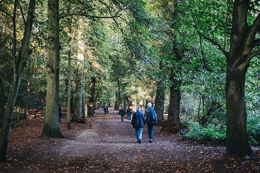 London, UK - October 20, 2018: People walking on a path between the trees in Hampstead Heath at dusk. Hampstead Heath covers 320 hectares one of London's most popular open spaces.