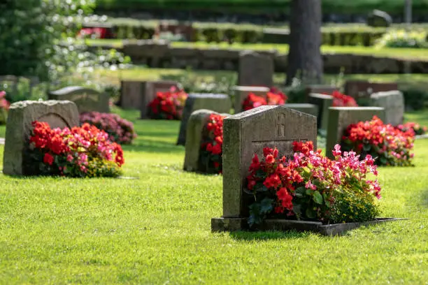 Photo of Grave stones with beautiful red and pink flowers in bright sunshine