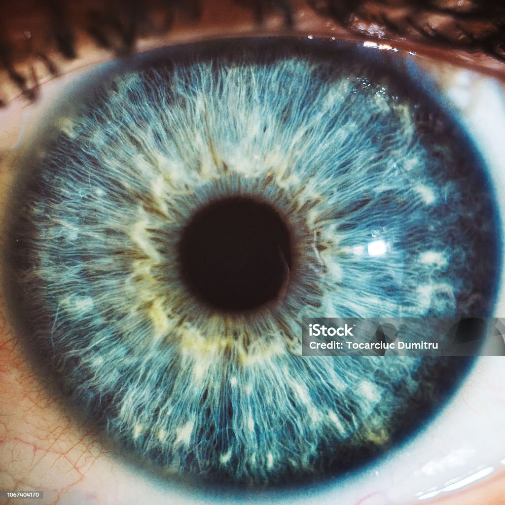 macro blue eyes color Eye Stock Photo