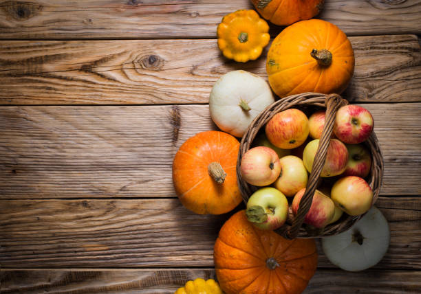 Autumn Pumpkin Thanksgiving Background. top view, copy space