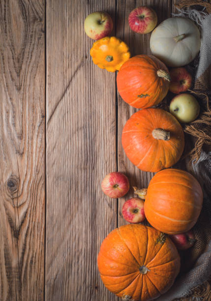 istock Autumn Pumpkin Thanksgiving Background 1067414252