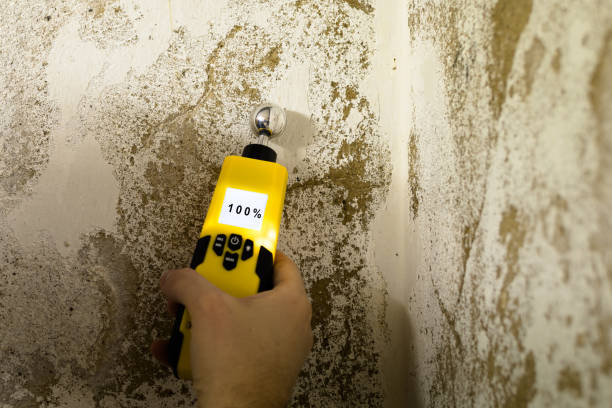 젖은 벽에 습도 측정 하는 사람 - mold basement house wet 뉴스 사진 이미지