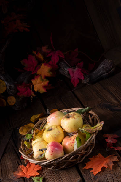 istock fresh and tasty organic apples in a basket 1067420802